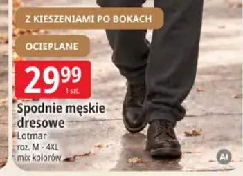 Spodnie męskie dresowe ocieplane Lotmar