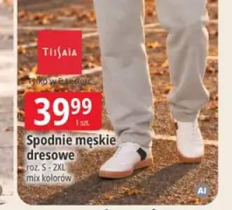 Spodnie męskie dresowe Tissaia