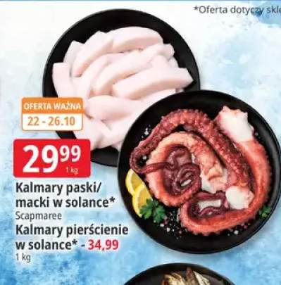 Kalmary paski w solance Scapmaree +2 warianty