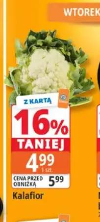 Kalafior